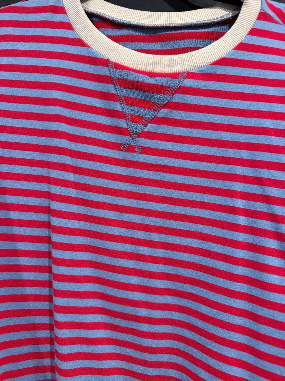Striped Crewneck Sweatshirt in Pink and Blue